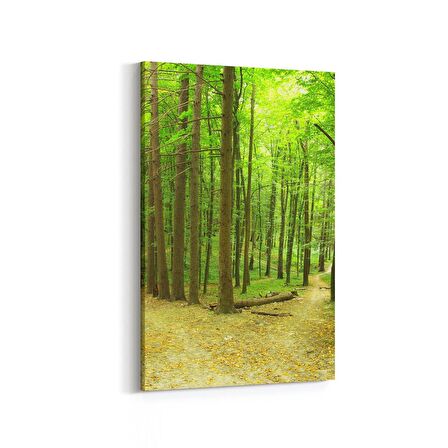 Olla 13946D Doğa / Manzara Görseli Dikey Kanvas Tablo (Ölçü: 100X150)