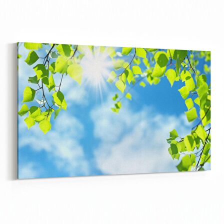 Olla 10769Y Ağaç Görseli Yatay Kanvas Tablo (Ölçü: 70X50)