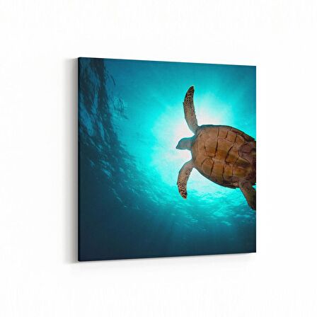 Olla 12928K Deniz / Okyanus Görseli Kare Kanvas Tablo (Ölçü: 25X25)