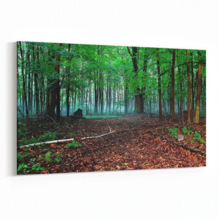 Olla 13501Y Doğa / Manzara Görseli Yatay Kanvas Tablo (Ölçü: 45X30)