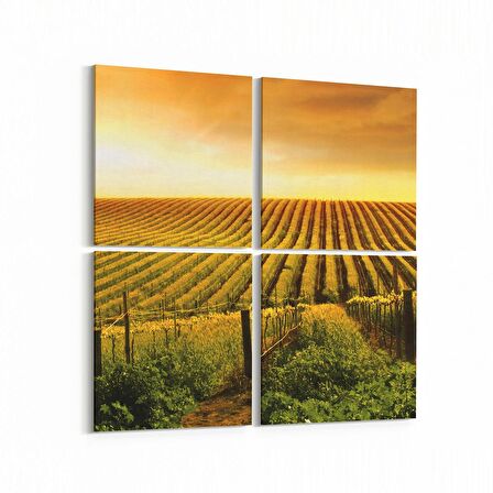 Olla 15939K4 Günbatımı Görseli Kare 4'lü Kanvas Tablo (Ölçü: 125X125)