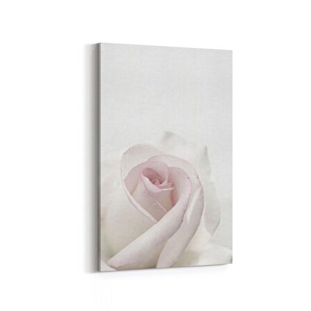 Olla 11601D Çiçek Görseli Dikey Kanvas Tablo (Ölçü: 60X90)