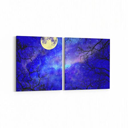 Olla 14790K2Y Gece Gökyüzü Görseli Kare 2'li Yatay Kanvas Tablo (Ölçü: 125X60)