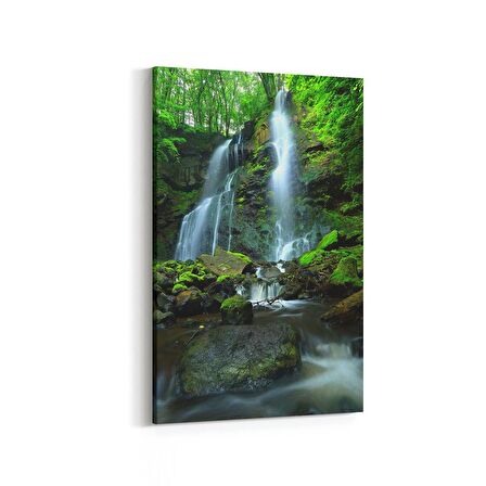Olla 14385D Doğa / Manzara Görseli Dikey Kanvas Tablo (Ölçü: 60X90)