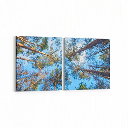 Olla 10642K2Y Ağaç Görseli Kare 2'li Yatay Kanvas Tablo (Ölçü: 145X70)