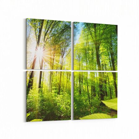 Olla 13987K4 Doğa / Manzara Görseli Kare 4'lü Kanvas Tablo (Ölçü: 145X145)