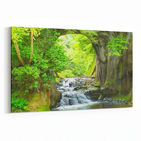 Olla 14336Y Doğa / Manzara Görseli Yatay Kanvas Tablo (Ölçü: 45X30)