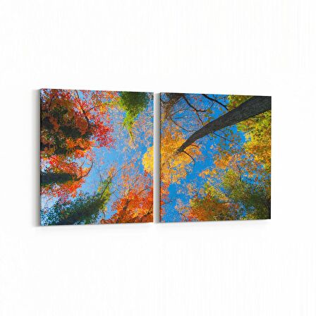 Olla 10512K2Y Ağaç Görseli Kare 2'li Yatay Kanvas Tablo (Ölçü: 125X60)