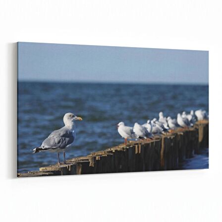 Olla 12596Y Hayvanlar Alemi Görseli Yatay Kanvas Tablo (Ölçü: 30X20)