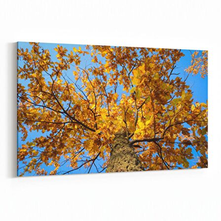 Olla 11015Y Ağaç Görseli Yatay Kanvas Tablo (Ölçü: 150X100)