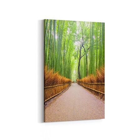 Olla 13837D Doğa / Manzara Görseli Dikey Kanvas Tablo (Ölçü: 20X30)