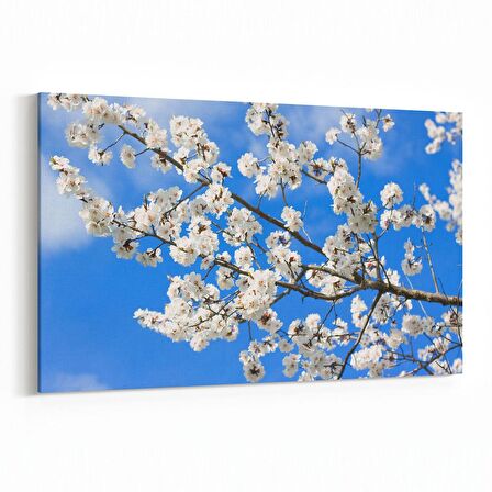 Olla 10926Y Ağaç Görseli Yatay Kanvas Tablo (Ölçü: 90X60)