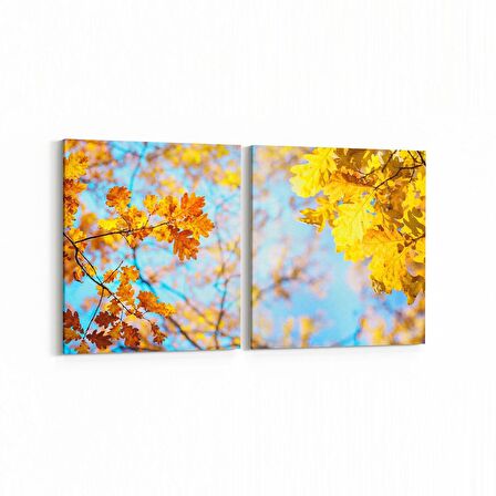 Olla 10973K2Y Ağaç Görseli Kare 2'li Yatay Kanvas Tablo (Ölçü: 65X30)