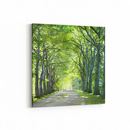 Olla 13234K Doğa / Manzara Görseli Kare Kanvas Tablo (Ölçü: 25X25)
