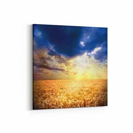 Olla 16136K Günbatımı Görseli Kare Kanvas Tablo (Ölçü: 25X25)