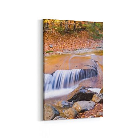 Olla 13722D Doğa / Manzara Görseli Dikey Kanvas Tablo (Ölçü: 100X150)