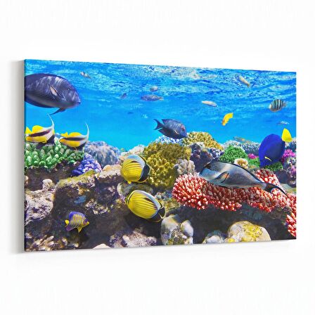 Olla 12067Y Akvaryum / Balık Görseli Yatay Kanvas Tablo (Ölçü: 90X60)