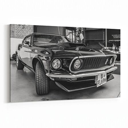 Olla 12271Y Araç Görseli Yatay Kanvas Tablo (Ölçü: 30X20)