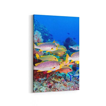 Olla 12069D Akvaryum / Balık Görseli Dikey Kanvas Tablo (Ölçü: 60X90)