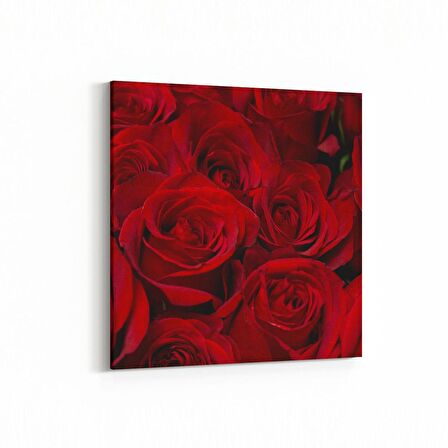 Olla 11557K Çiçek Görseli Kare Kanvas Tablo (Ölçü: 100X100)