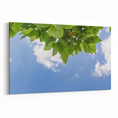 Olla 10800Y Ağaç Görseli Yatay Kanvas Tablo (Ölçü: 120X80)