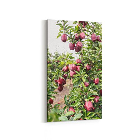 Olla 15079DD Gıda Görseli Dikey Dar Kanvas Tablo (Ölçü: 60X120)