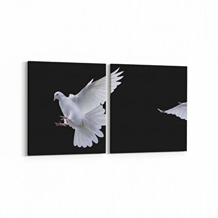 Olla 12678K2Y Hayvanlar Alemi Görseli Kare 2'li Yatay Kanvas Tablo (Ölçü: 65X30)