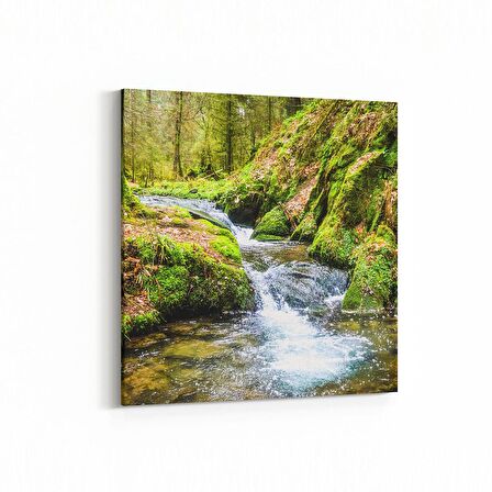 Olla 14314K Doğa / Manzara Görseli Kare Kanvas Tablo (Ölçü: 25X25)