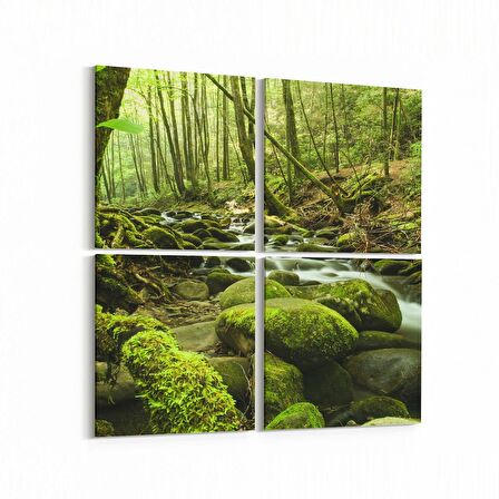 Olla 13638K4 Doğa / Manzara Görseli Kare 4'lü Kanvas Tablo (Ölçü: 125X125)