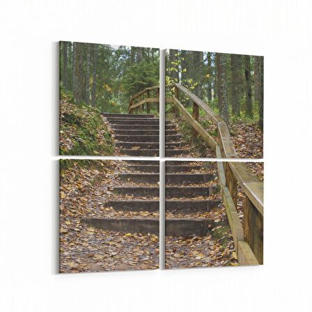 Olla 14494K4 Doğa / Manzara Görseli Kare 4'lü Kanvas Tablo (Ölçü: 145X145)