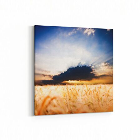 Olla 16032K Günbatımı Görseli Kare Kanvas Tablo (Ölçü: 30X30)