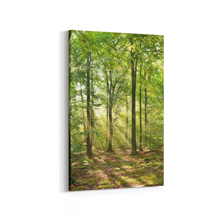Olla 13599D Doğa / Manzara Görseli Dikey Kanvas Tablo (Ölçü: 100X150)