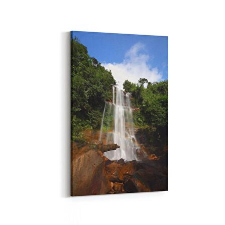 Olla 13240D Doğa / Manzara Görseli Dikey Kanvas Tablo (Ölçü: 100X150)