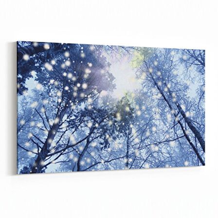 Olla 10921Y Ağaç Görseli Yatay Kanvas Tablo (Ölçü: 70X50)