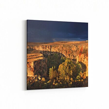 Olla 14474K Doğa / Manzara Görseli Kare Kanvas Tablo (Ölçü: 25X25)