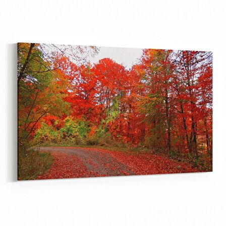 Olla 13211Y Doğa / Manzara Görseli Yatay Kanvas Tablo (Ölçü: 90X60)