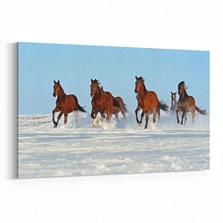 Olla 12519Y Hayvanlar Alemi Görseli Yatay Kanvas Tablo (Ölçü: 30X20)