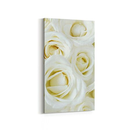 Olla 11646DD Çiçek Görseli Dikey Dar Kanvas Tablo (Ölçü: 30X60)