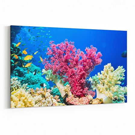 Olla 12984Y Deniz / Okyanus Görseli Yatay Kanvas Tablo (Ölçü: 150X100)