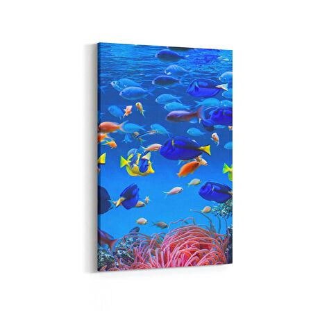 Olla 12093D Akvaryum / Balık Görseli Dikey Kanvas Tablo (Ölçü: 60X90)
