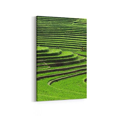 Olla 14153D Doğa / Manzara Görseli Dikey Kanvas Tablo (Ölçü: 80X120)