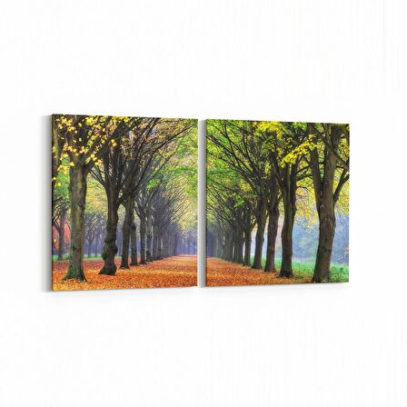 Olla 13411K2Y Doğa / Manzara Görseli Kare 2'li Yatay Kanvas Tablo (Ölçü: 65X30)