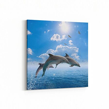 Olla 13012K Deniz / Okyanus Görseli Kare Kanvas Tablo (Ölçü: 25X25)