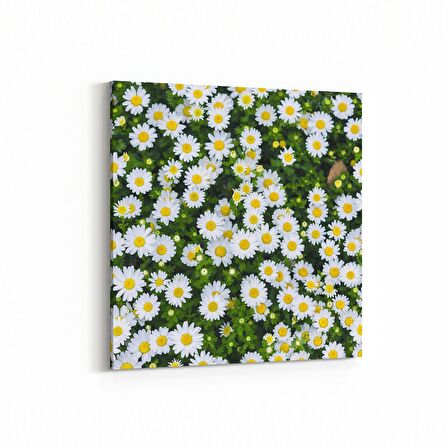 Olla 11568K Çiçek Görseli Kare Kanvas Tablo (Ölçü: 30X30)