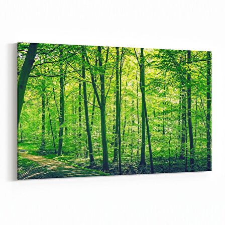 Olla 14090Y Doğa / Manzara Görseli Yatay Kanvas Tablo (Ölçü: 45X30)