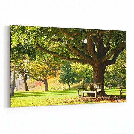 Olla 13431Y Doğa / Manzara Görseli Yatay Kanvas Tablo (Ölçü: 70X50)