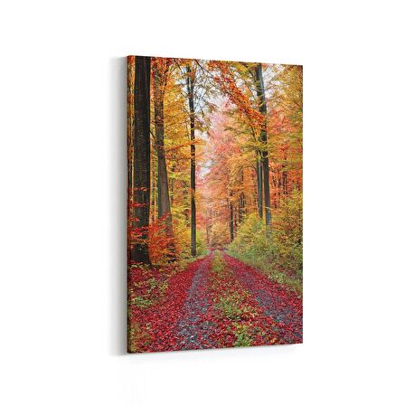 Olla 13371D Doğa / Manzara Görseli Dikey Kanvas Tablo (Ölçü: 40X60)