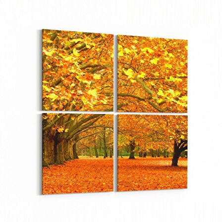 Olla 14088K4 Doğa / Manzara Görseli Kare 4'lü Kanvas Tablo (Ölçü: 145X145)