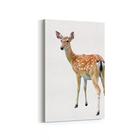 Olla 12516D Hayvanlar Alemi Görseli Dikey Kanvas Tablo (Ölçü: 60X90)