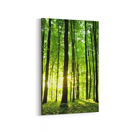 Olla 13250D Doğa / Manzara Görseli Dikey Kanvas Tablo (Ölçü: 60X90)